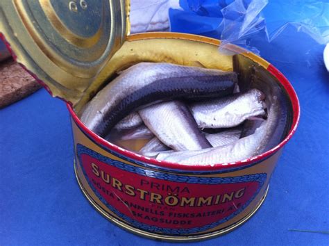 the stinkiest fish in the world|Surströmming: The Swedish Stinky Fish Delicacy